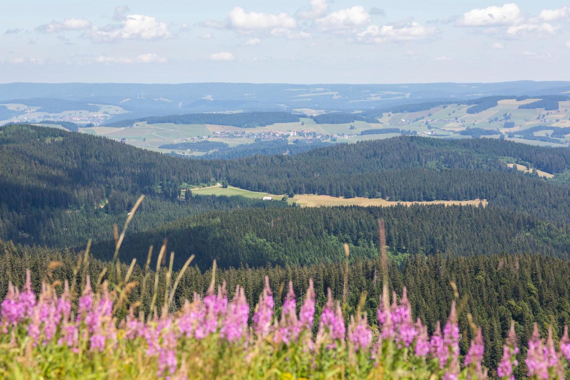 Villa Number 8 Feldberg  Eksteriør bilde